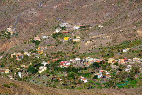 Alojera
