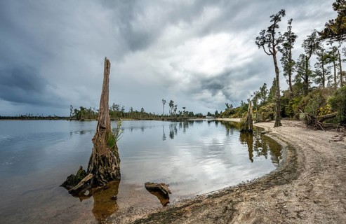 Iveagh Bay on Lake Brunner