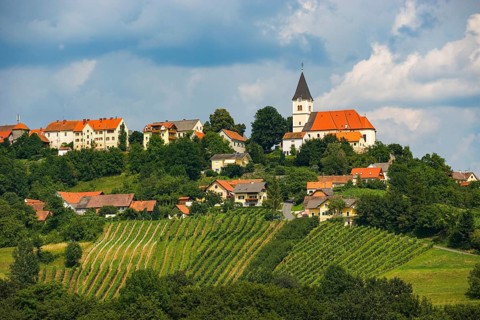 Vineyards