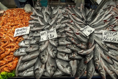 Fresh Common bream (Abramis brama)