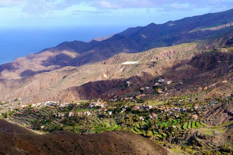 Alojera
