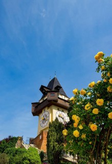 Rose garden on the Schlossberg with clock tower