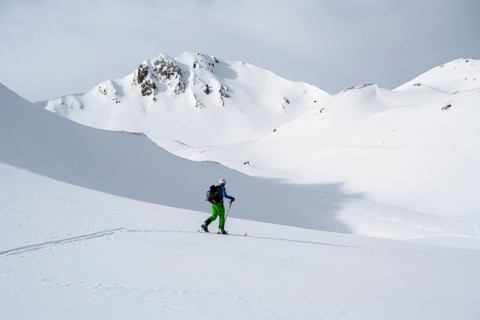 Ski tourers in the snow