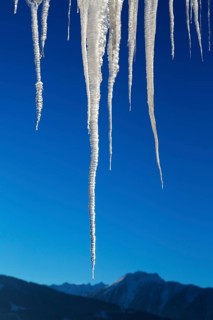 Icicle