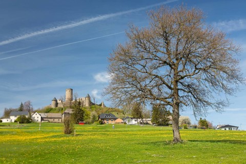 Nuerburg Castle