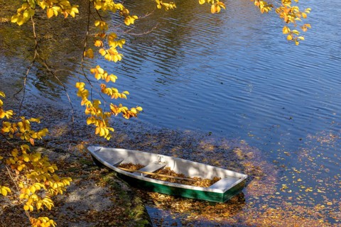 Rowing boat at the Schlossteich