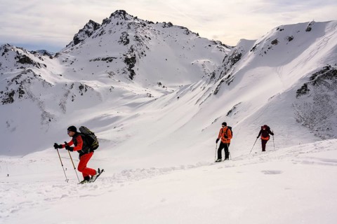 Ski tourers in the snow