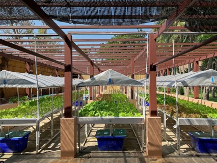 Hydrofarm at the Anantara Hotel for self-sufficiency