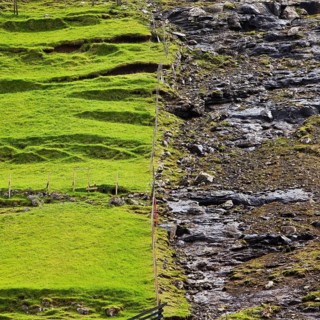 Well-tended hayfield on the left and untreated soil on the right