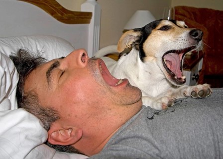 Dog and master yawn