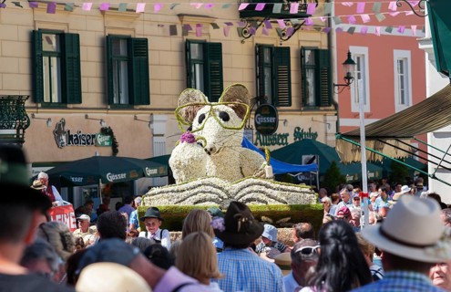 Narcissus Festival