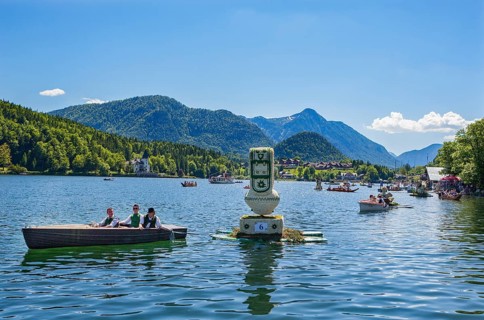 Narcissus festival
