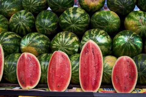 Watermelons (Citrullus lanatus)