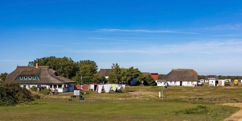 Residential houses