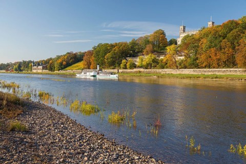Autumn on the banks of the Elbe