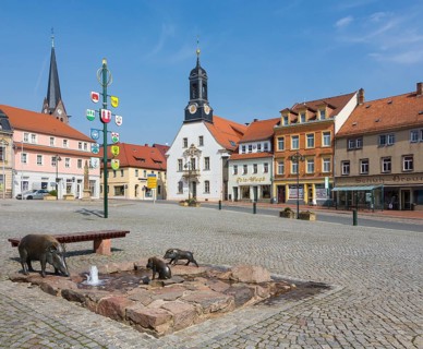 Market place with Wilde Sau fountain town hall and Nikolaikirche
