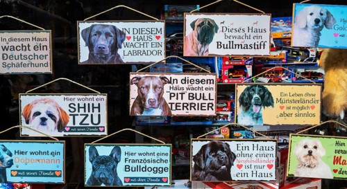Shop window with dog signs