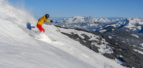 Skier