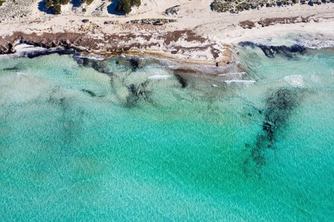 Es Trenc beach