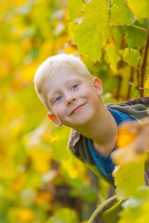 Boy looks through a row of vines