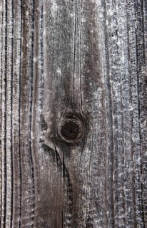 Weathered wood with knothole