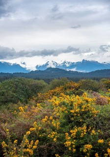 View of the New Zealand Alps