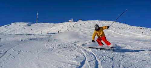 Skier
