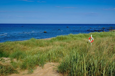 Lifebelt in the dunes with sea