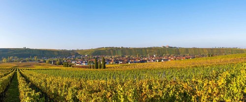 Nordheim am Main and behind Escherndorf