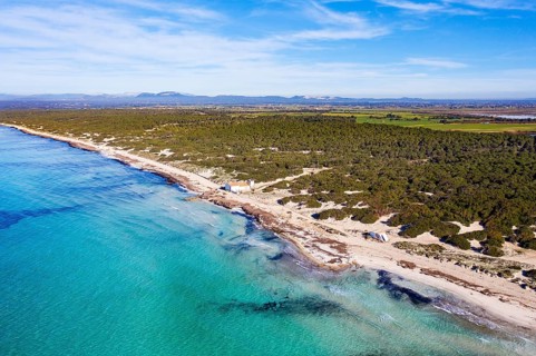 Es Trenc beach