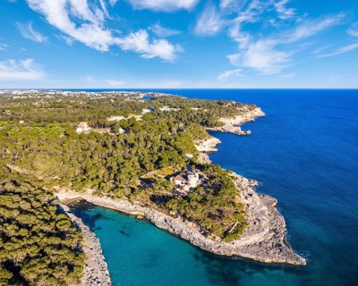 Calo des Borgit