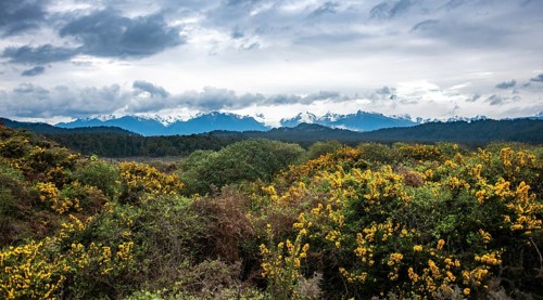 View of the New Zealand Alps