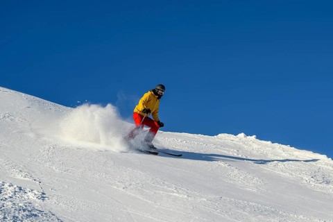 Skier