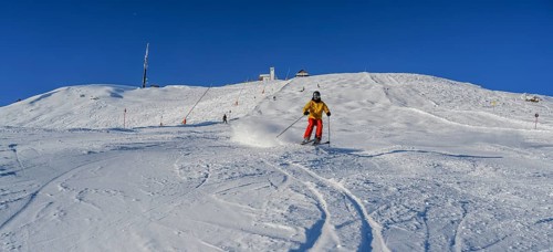 Skier