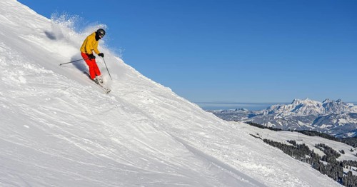 Skier