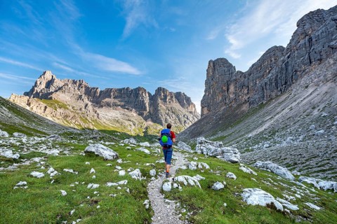 Hiker