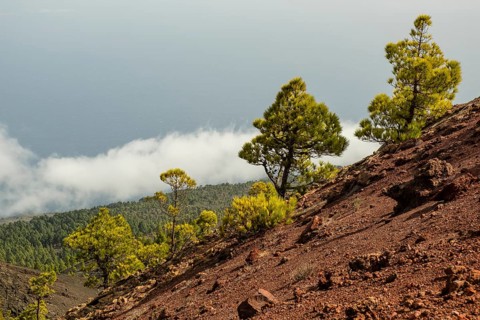Landscape at the volcano Martin