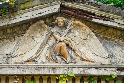 Historical angel with feather