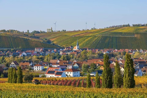 Nordheim am Main and behind Escherndorf
