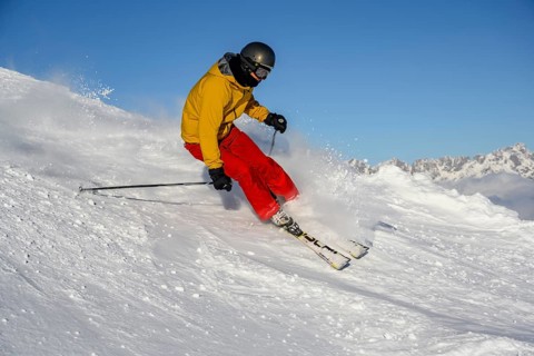 Skier