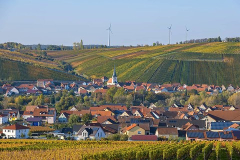 Nordheim am Main and behind Escherndorf