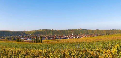 Nordheim am Main and behind Escherndorf