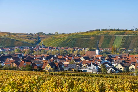 Nordheim am Main and behind Escherndorf