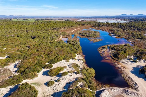 Brackish water lagoon