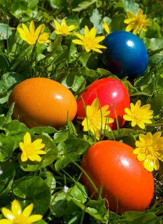 Colourful Easter eggs lying in a flower meadow