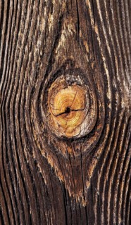 Weathered wood with knothole