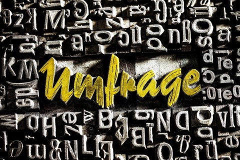 Old lead letters with golden writing show the word survey