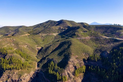 Alto de Garajonay