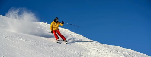 Skier