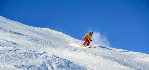 Skier